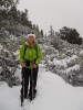 Trail to Stein Butte