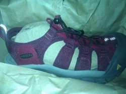 Beet Red/Port Royale