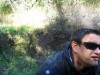 Dragon Chrome Sunglasses