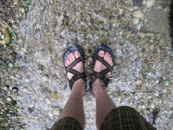Yes, I have white feet