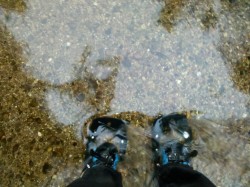 Standing in a river in northern Michigan