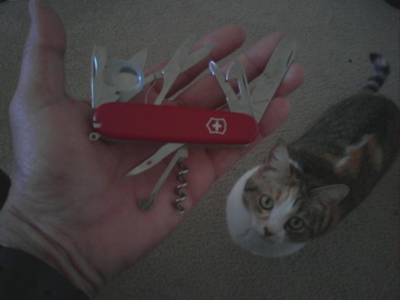 Victorinox Ranger Swiss Army Knife
