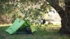 CA camping mid Feb