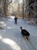 Skijoring
