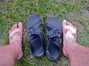 The Chaco Tan