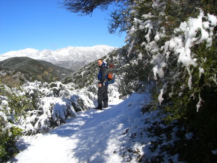 Stood the test: snow, sleet, severe flora