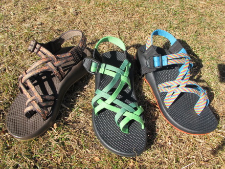 Color options