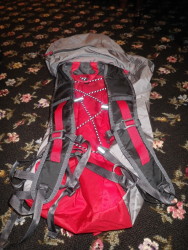 back side