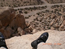 Joshua Tree