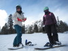 Mammoth Lakes