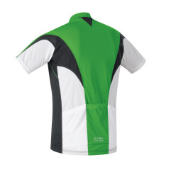 green back detail