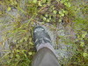 Through the sleet, snow, and rain