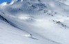 Powder shot