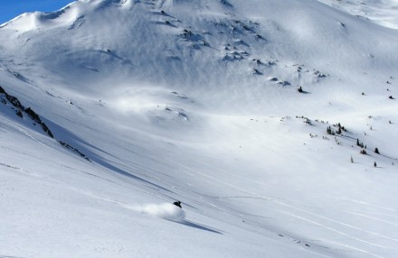 Powder shot
