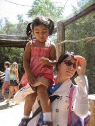 keepin cool at the zoo