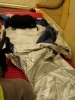 Summer bivy