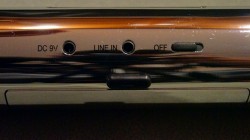 The Back