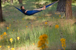 Grand Trunk Single Parachute Nylon Hammock