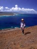 Lehua , Hawaiian island  Botanical research