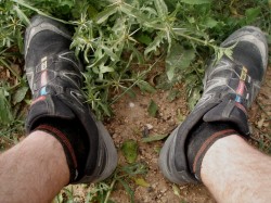My socks