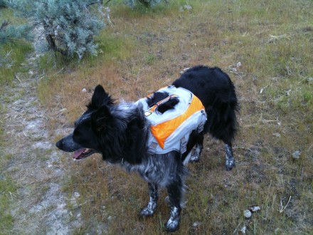 Hailey models her Singletrack Pack