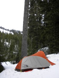 Great lightweight tent