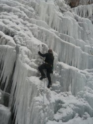 Leading in the Daks (NY)