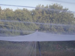 As a summer tent