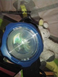 Lamp loop