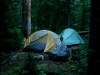 Tonahutu Meadow camp