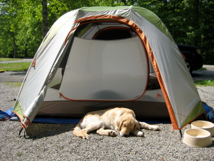 Great tent.. very spacious