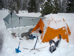 Siltarp1 in the snow