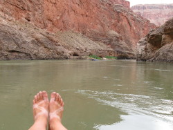 Chaco tan on the Grand Canyon