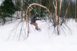 Soldier Through the Trees - Marble Mountain