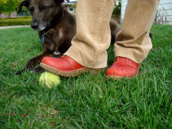 Sadie, Red Clogs