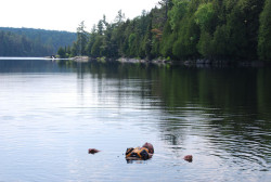 it floats