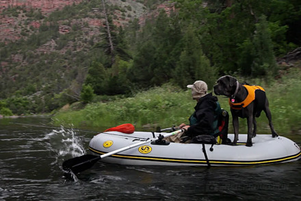 I hear rapids...