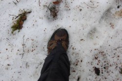 The Merrell Moabs in the Snow on the Alum Cave Trail