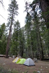 kings canyon national park, ca