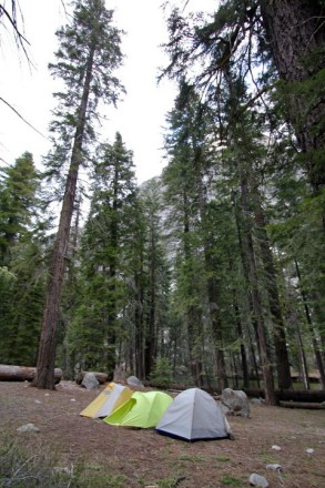 kings canyon national park, ca