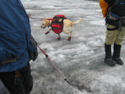 ruffwear boots and pack in Kaunertal, Austria