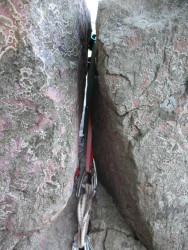 Dynex Runner in an anchor