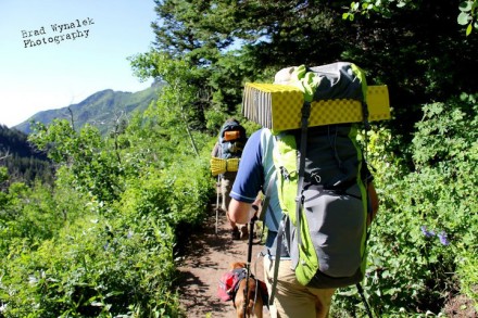 Hike to Dog Lake