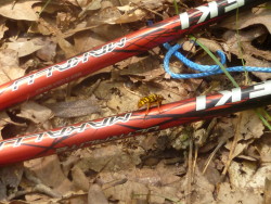 My Leki's