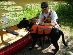 Canoe training my dog