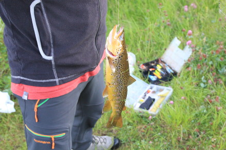 norway fiske