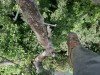 Over the canopy at a Puerto Rican rainforest
