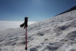 Black Diamond Trail Back Trekking pole