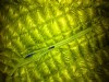 Fabric Detail