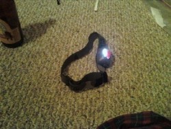 Petzl Tikka Plus Headlamp